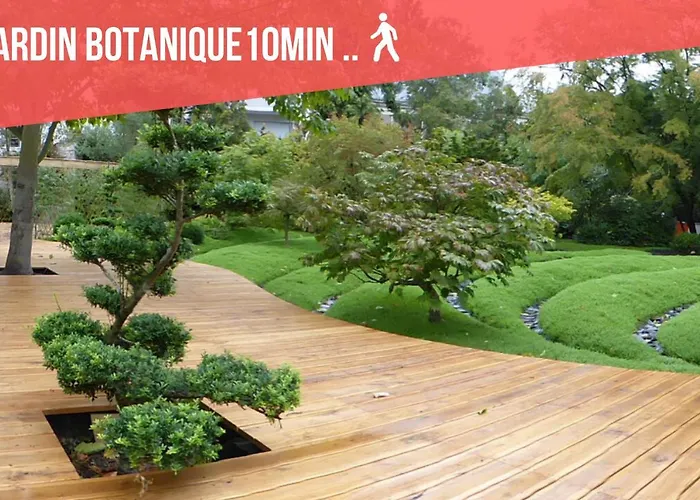 Type 2 Lamartine Centre A 10mn Des Halles Apartment Tours